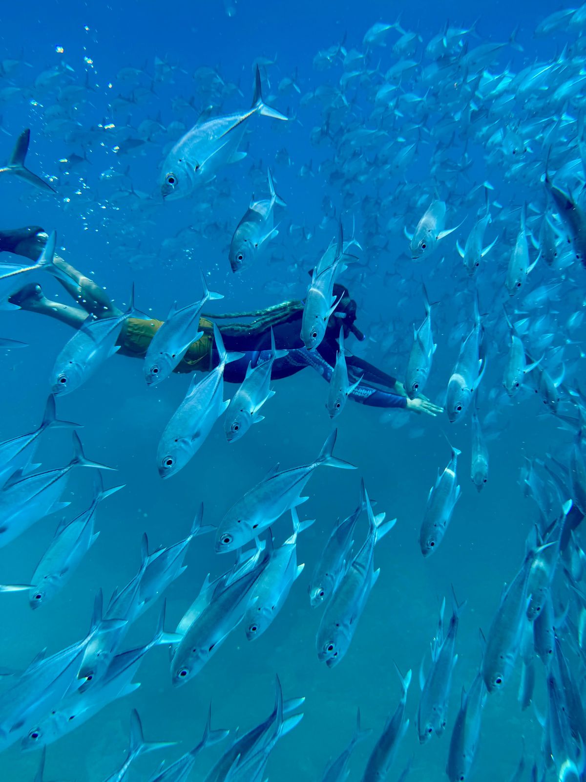 Imagen del tour Buceo